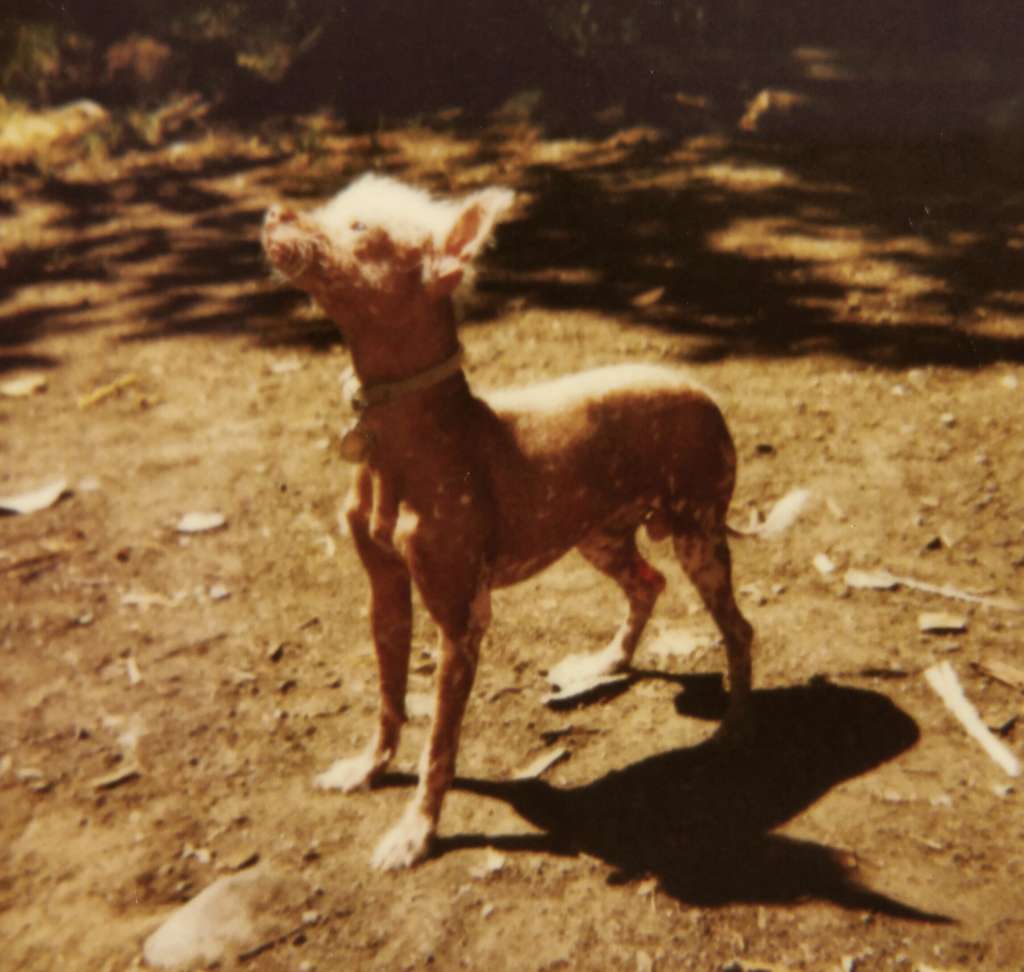 Gunther May
