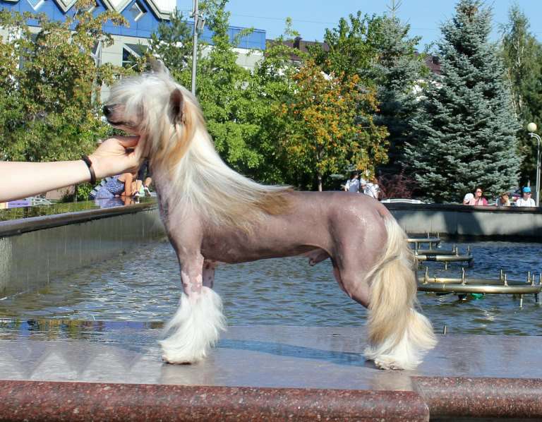 Via Della Seta Versalles