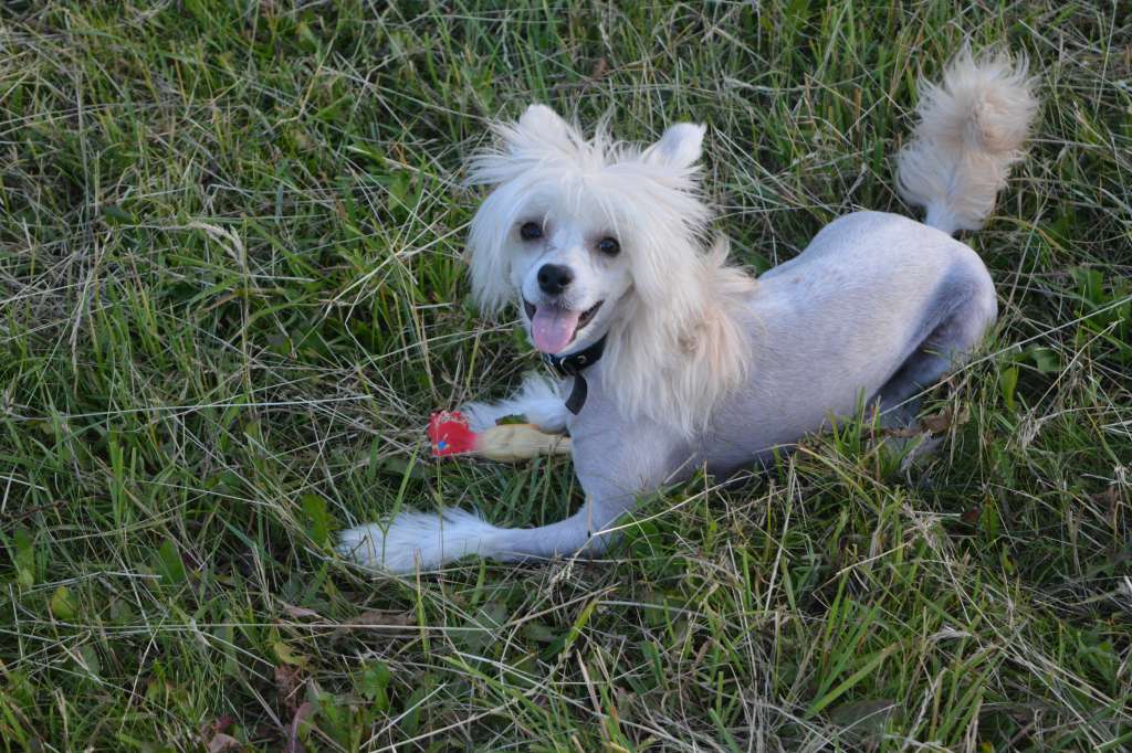 Timothy Winning Smile