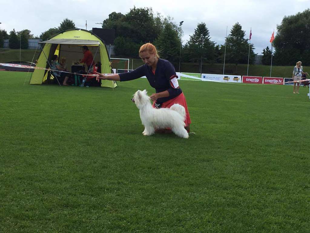 Antonius Baltic Sunrise