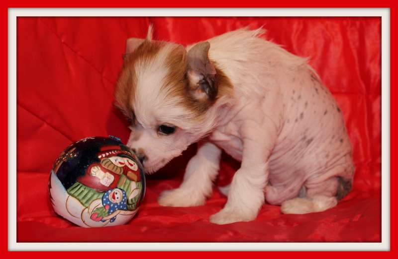 lueur d'espoir du pavé de varennes