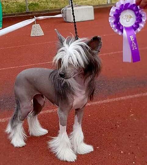 Kaitlin Kardashian Khloe