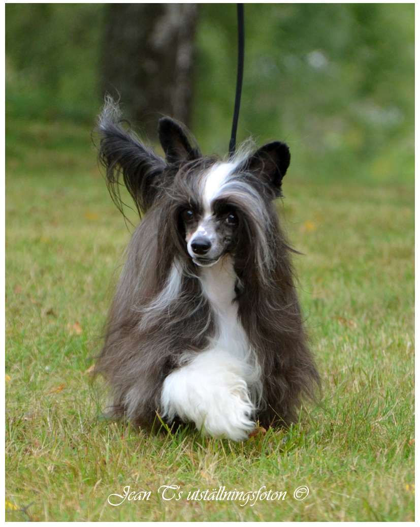 Only The Best Our Twinkling Star