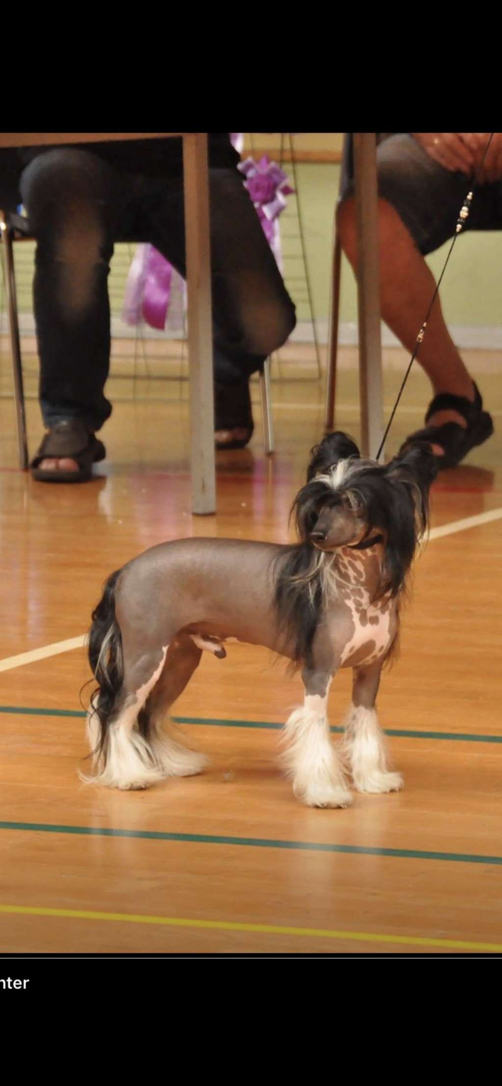 Cash Flow Made of Frabies Beauties