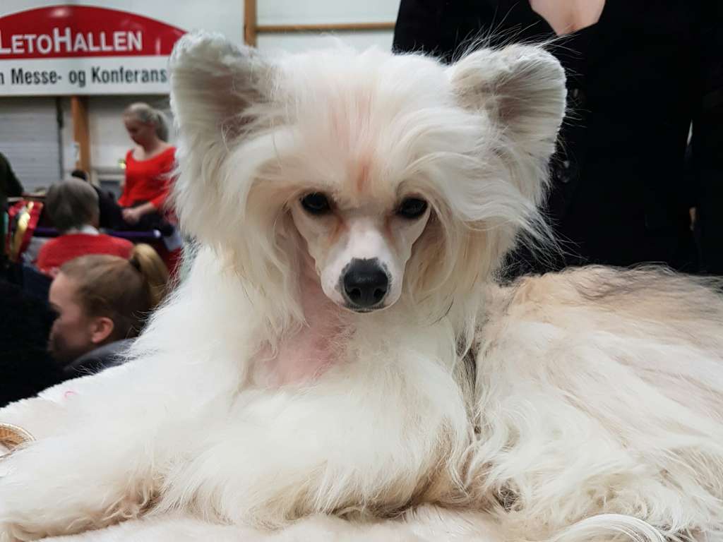 Jean Dark Julia Anne