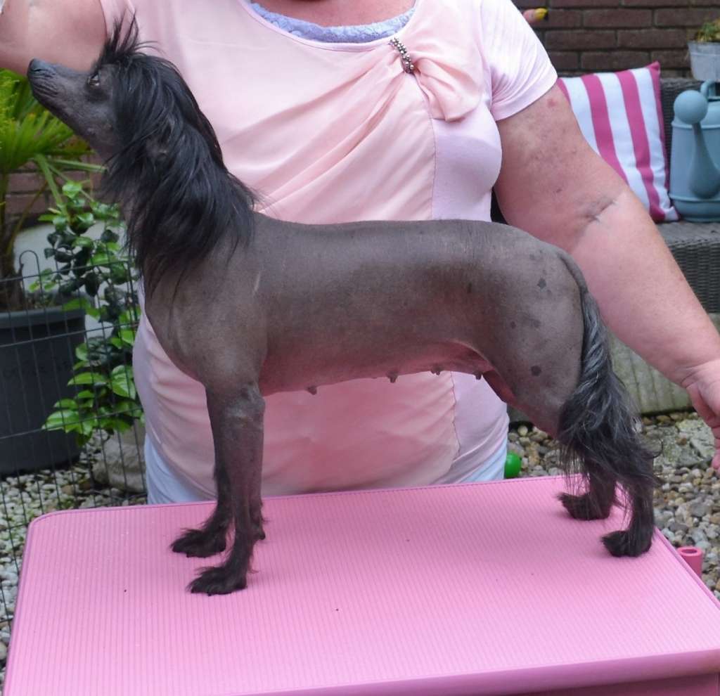 Cafe Noir of Ria's Pride