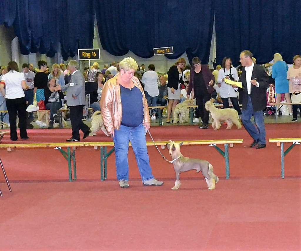 Chocolate Sensation of Ria's Pride