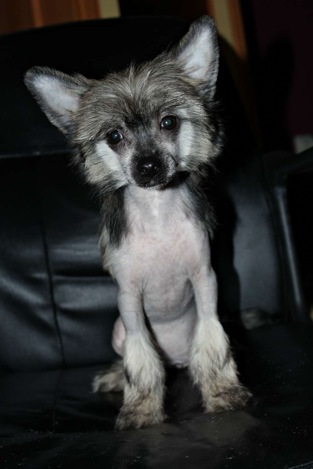 Solange Holly Miracolo Dell'anima