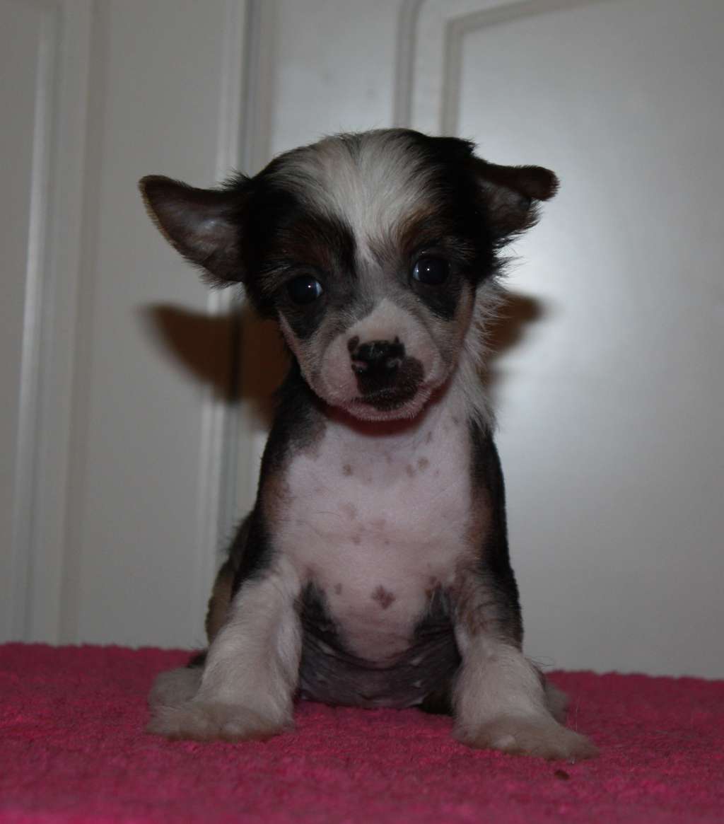 Viuvaun Lil'Bitty Pretty One