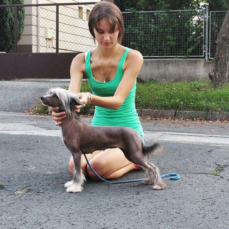 Fundoklia-völgyi Kaszanics Zulu