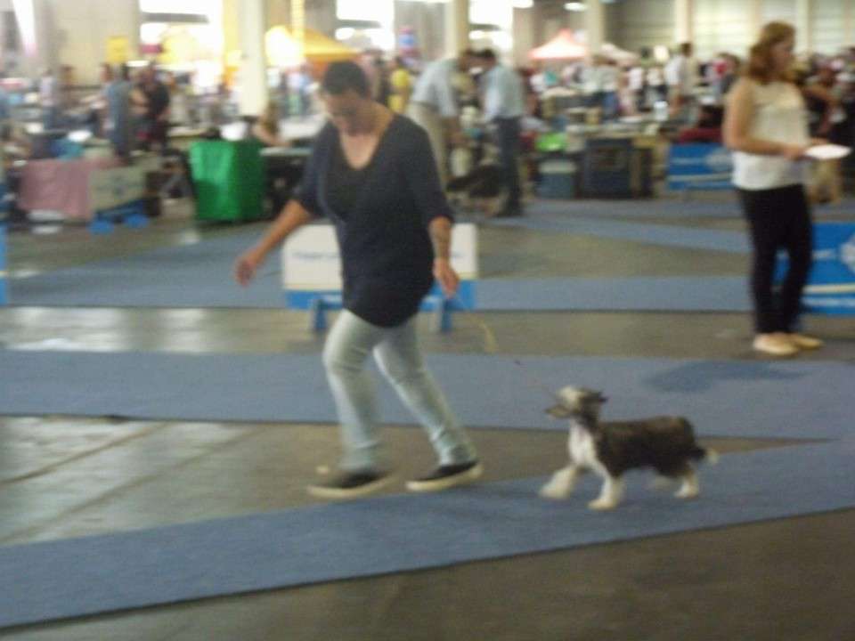 Fundoklia-völgyi Kaszanics Zara