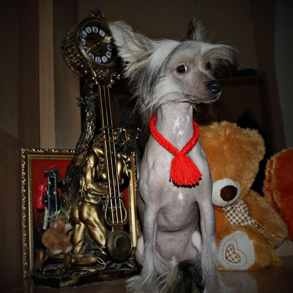 Ventura Kally Miracolo Dell'anima