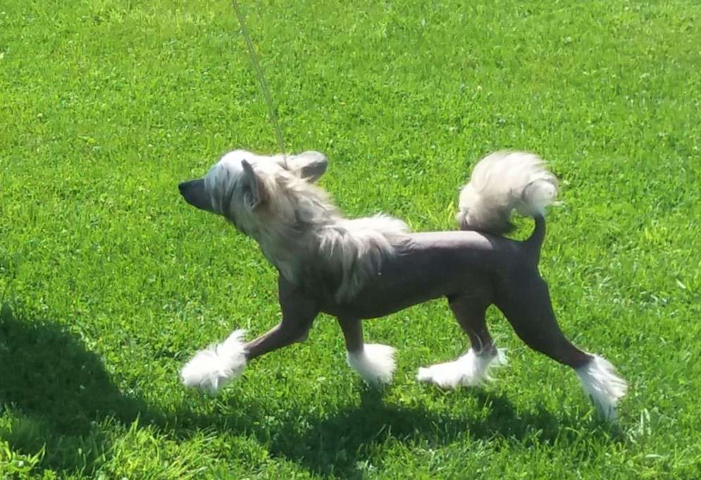 Windy Willow's Hot and Cool