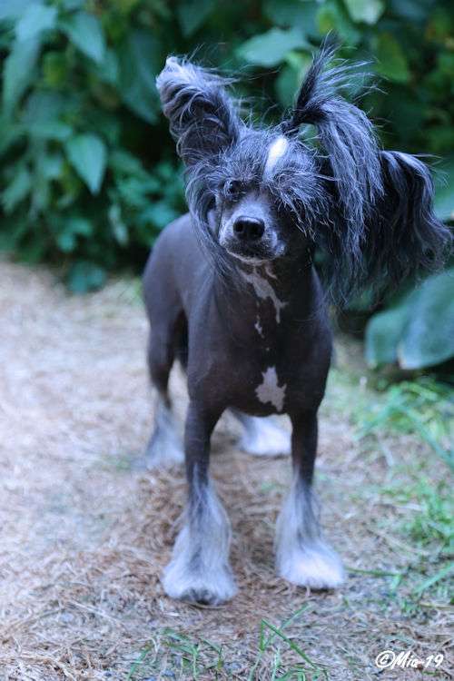 Tulimyrskyn Ville Vallaton