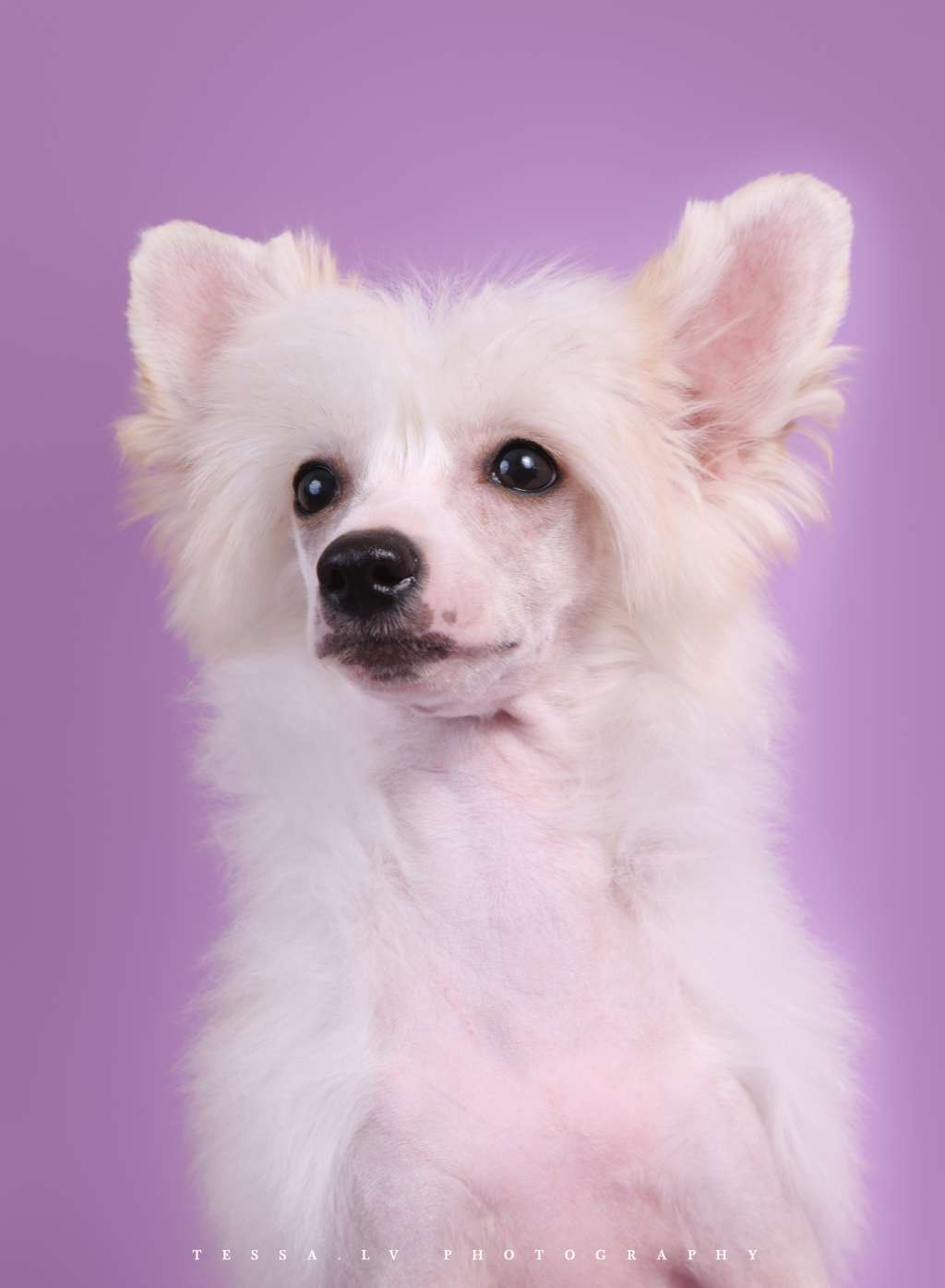 Rouber Balt Shimmery Light