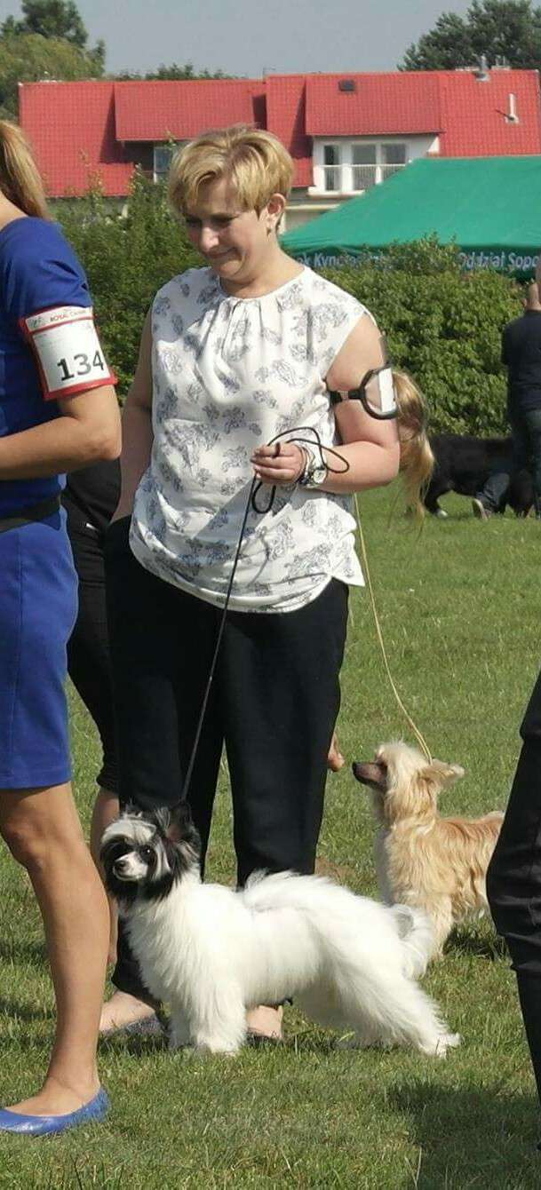 Miss Minnie Sasima(fci)