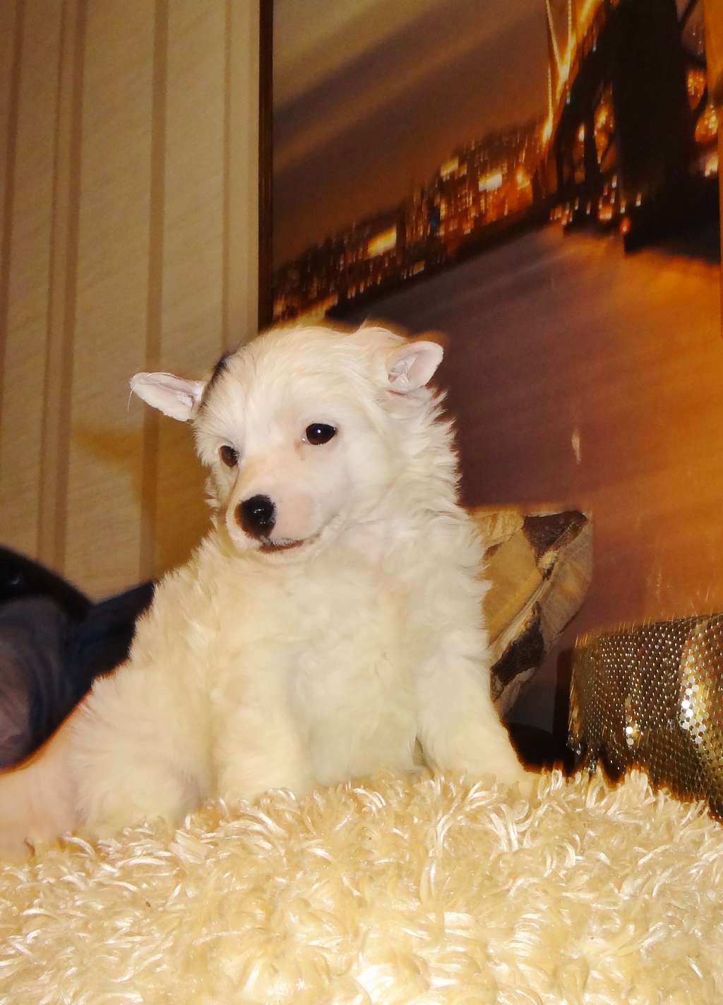 Millenium Pride Jules Verne