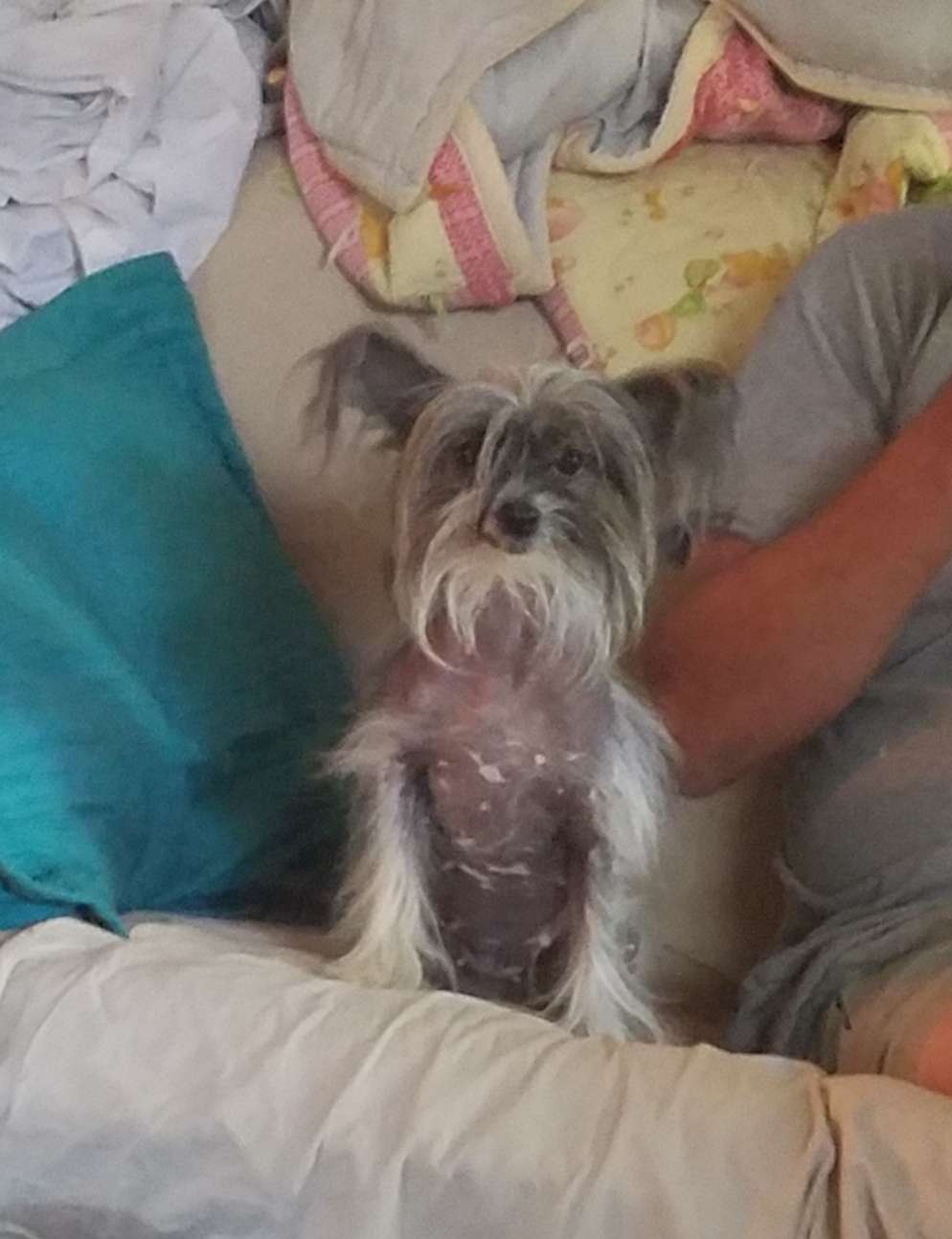 Altacrest's To The Memories