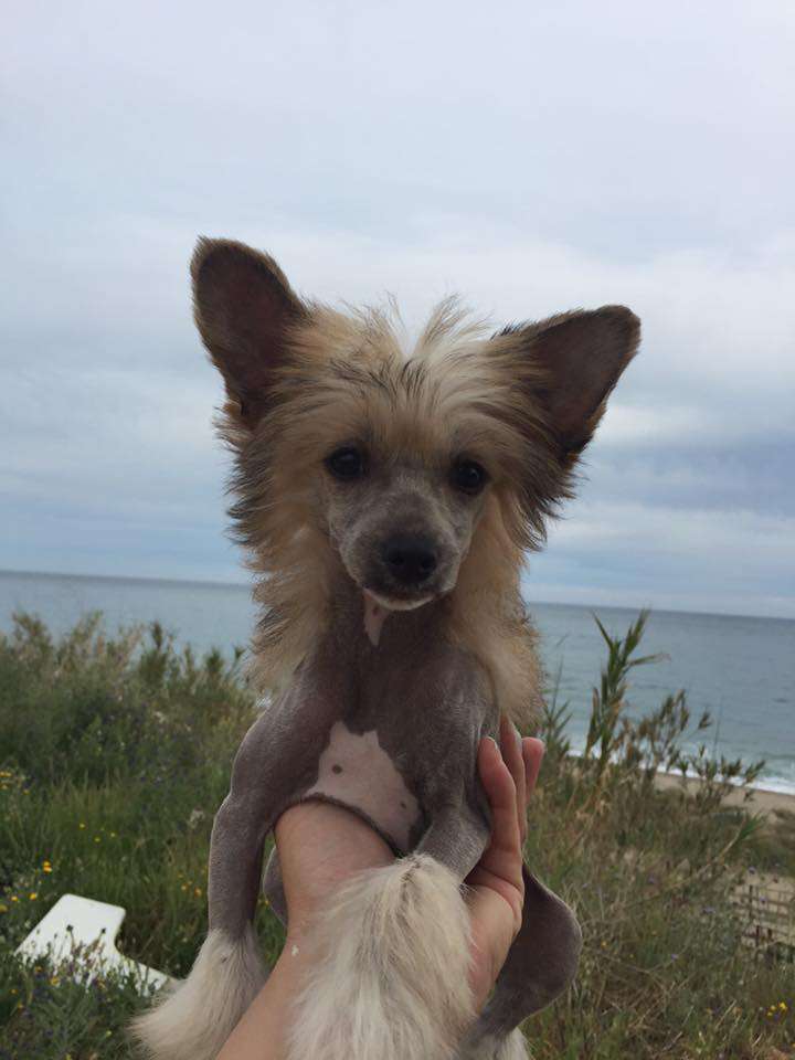 Dakota from Goldhunter Angel's