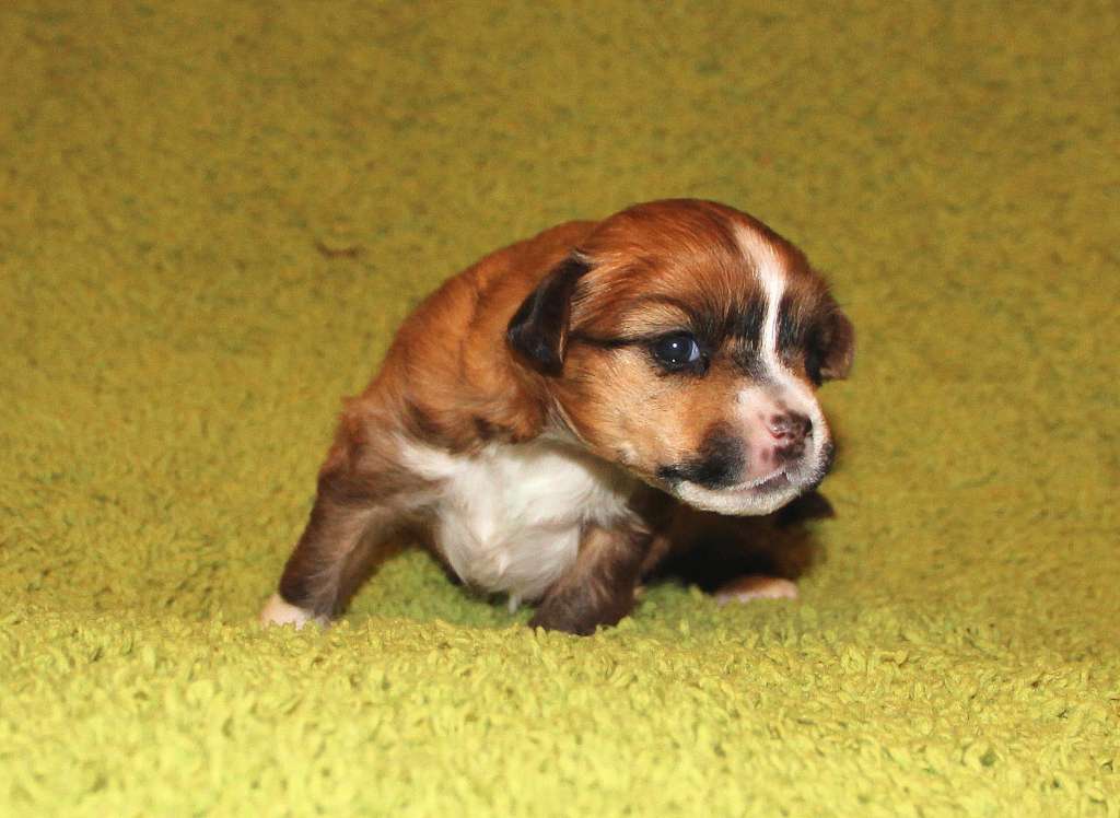 Rolana Family Bavaria