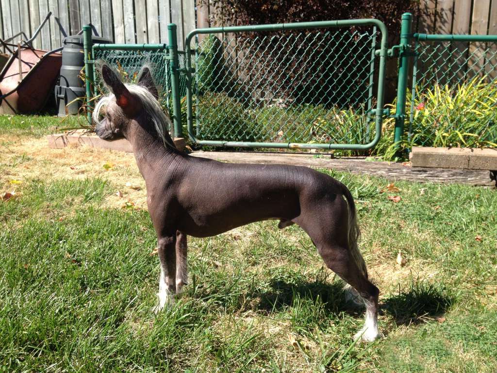 Altair's A Wrinkle In Time