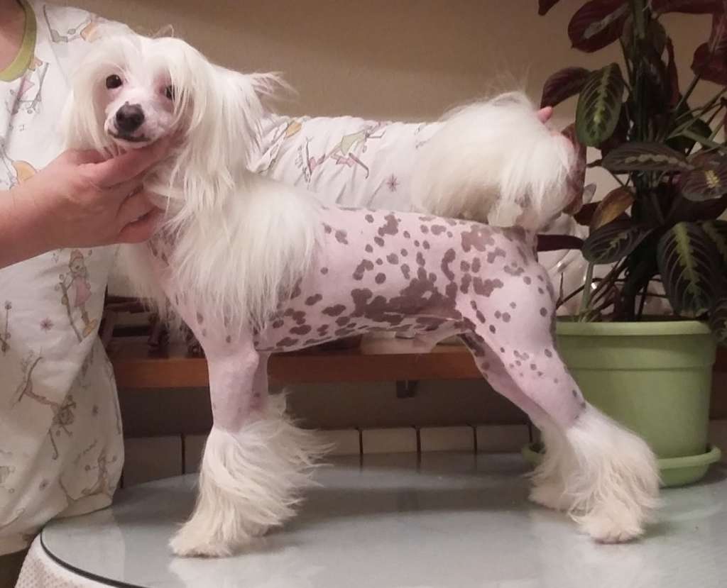 Entresierras All My Heart