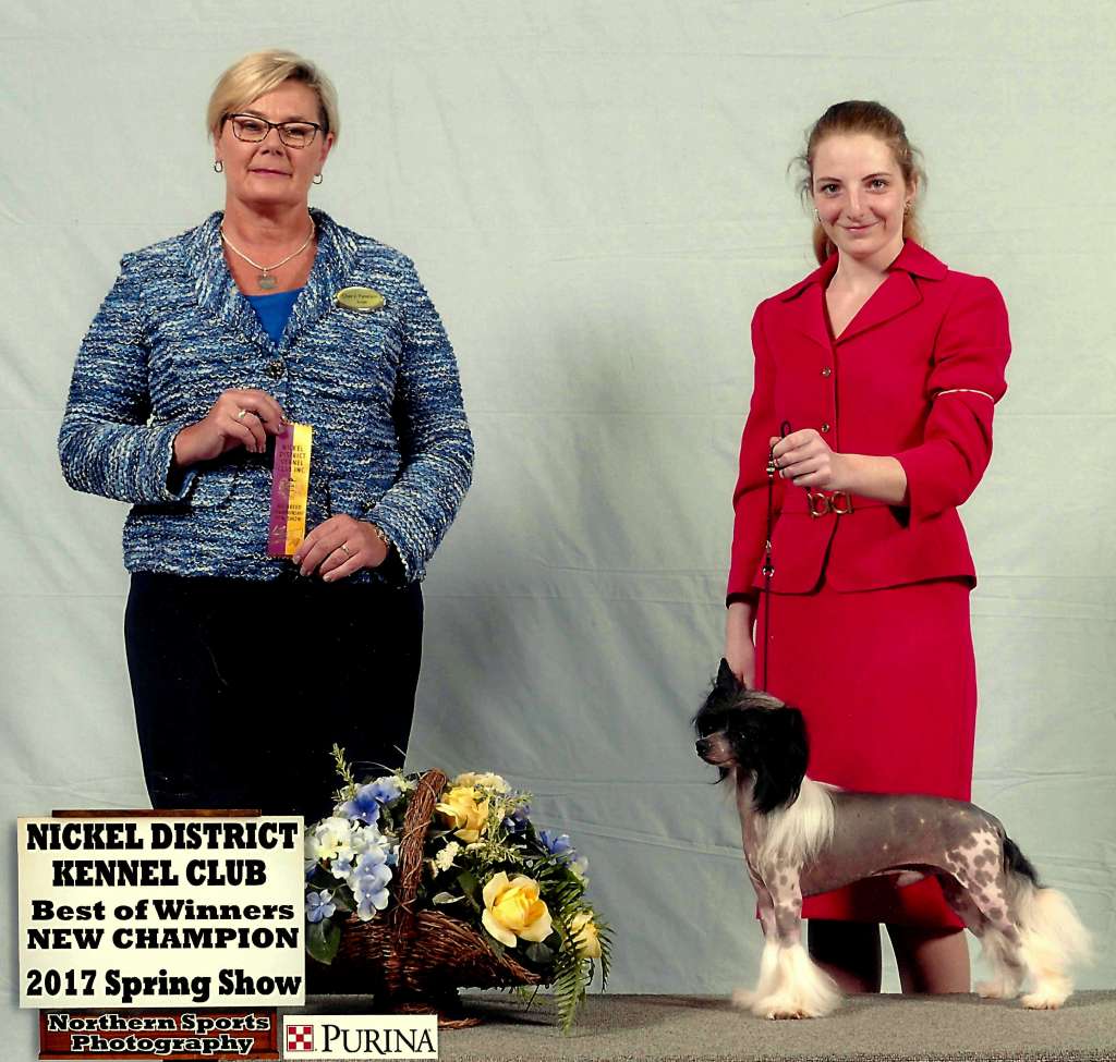 Insar Jelani Iz Kanekso