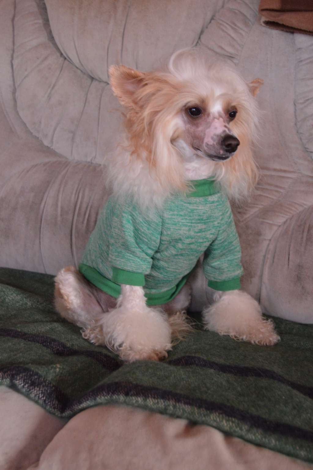 Star Show Bon Ami Every Day Joy