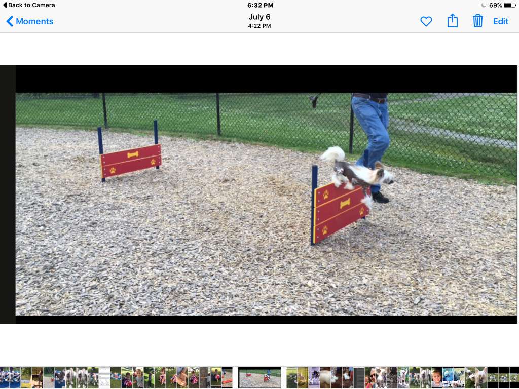 Colliwood's amazing just the way you are