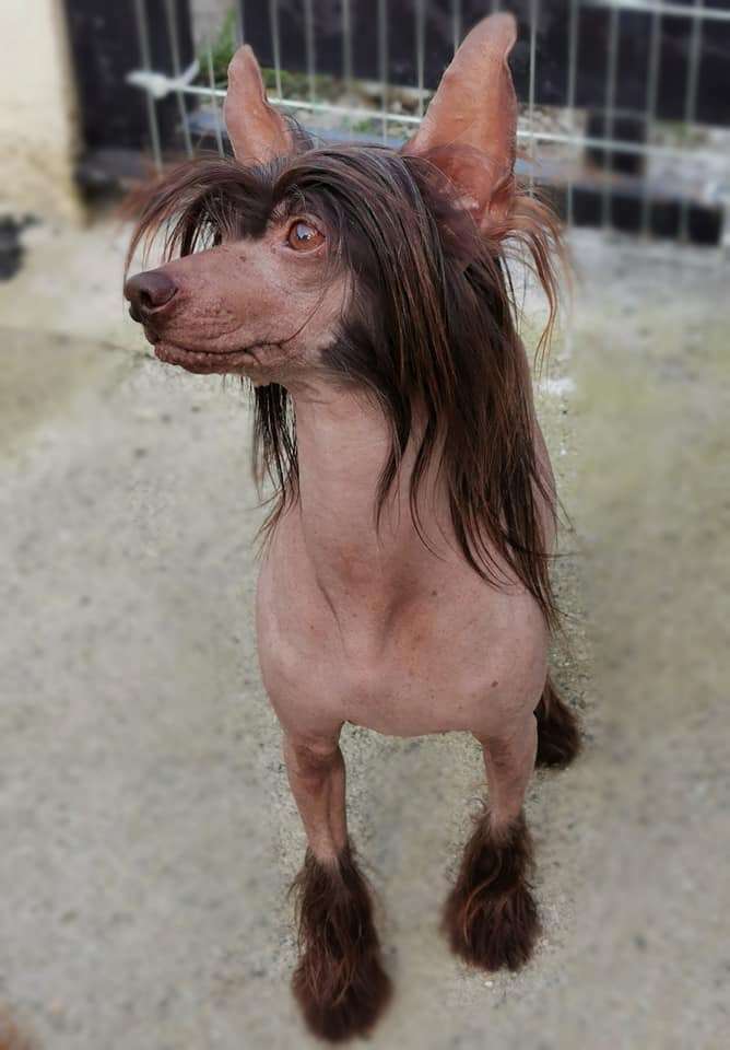 Taï Mandchou's Lex Luthor