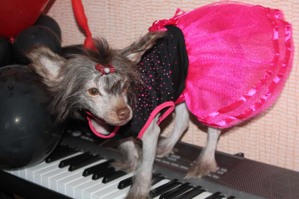 Nefritovyi Budda -   Uolla  street