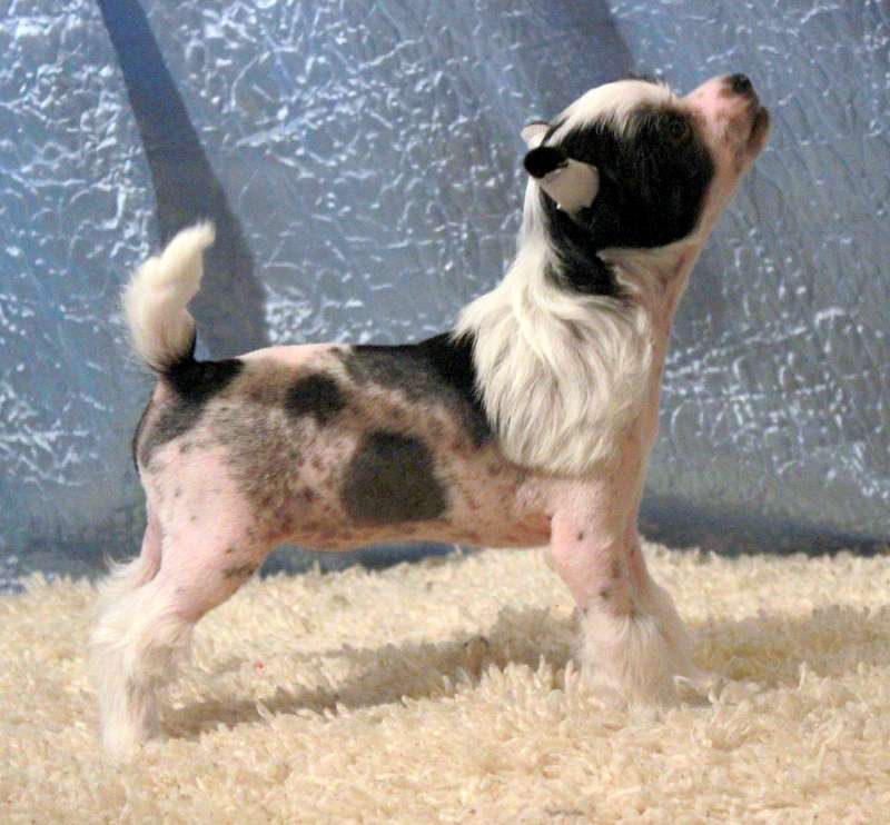 Vendi Love And Believe