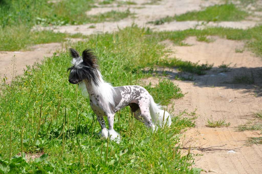 Whitney Winning Smail