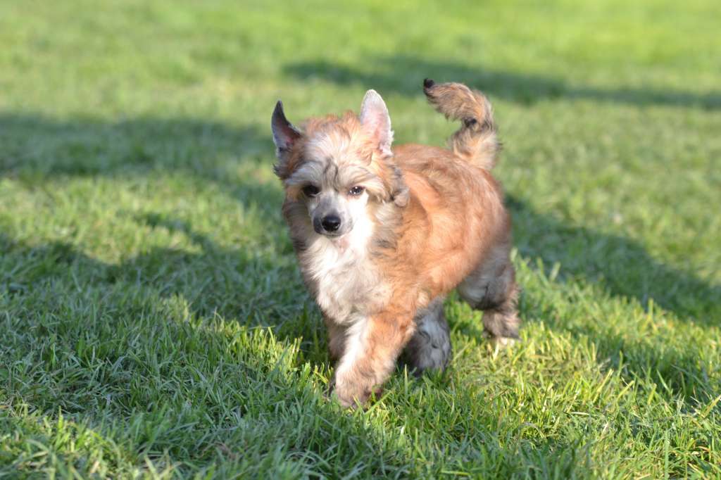 Elnaril Winner Akwen