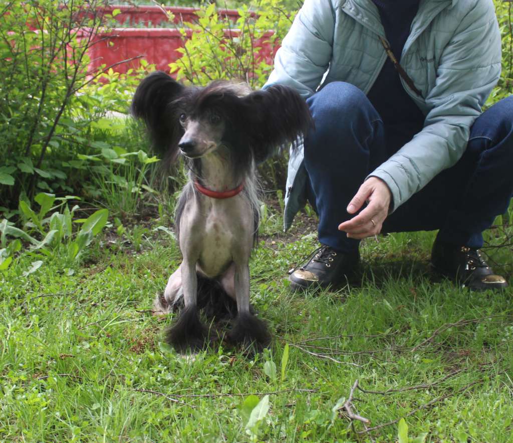 Kranar Sarah Baraboo