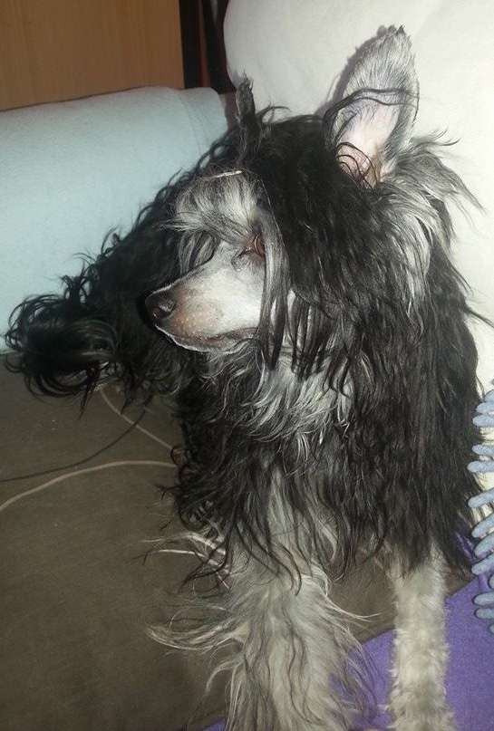 Crazy Little Diamonds Bubbles