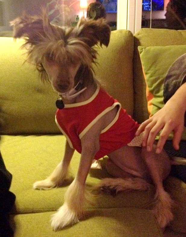 Crazy Little Diamond Miss LeeLoo