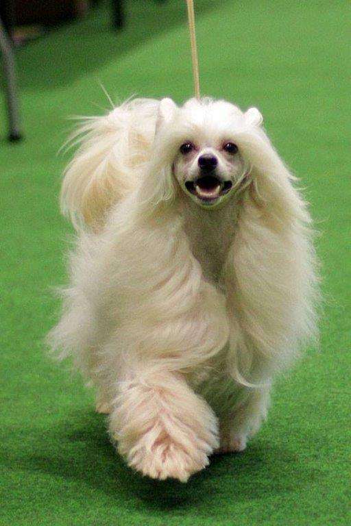 Nuts About Bumper to Bumper