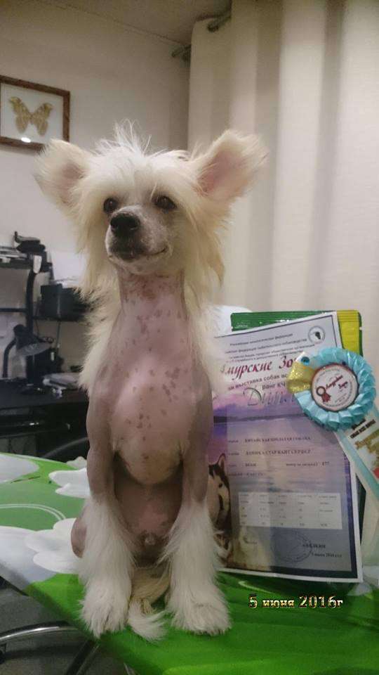 Danika Star Kite Surfer