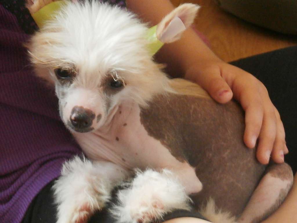 Breezy Meadows Diamond In The Rough