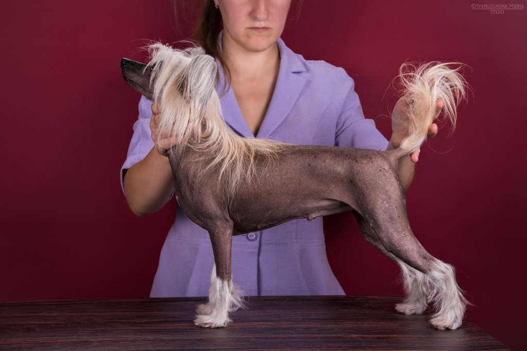 Grand Passage Afrodita