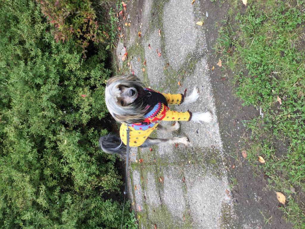 Eleonora Grzywkomania