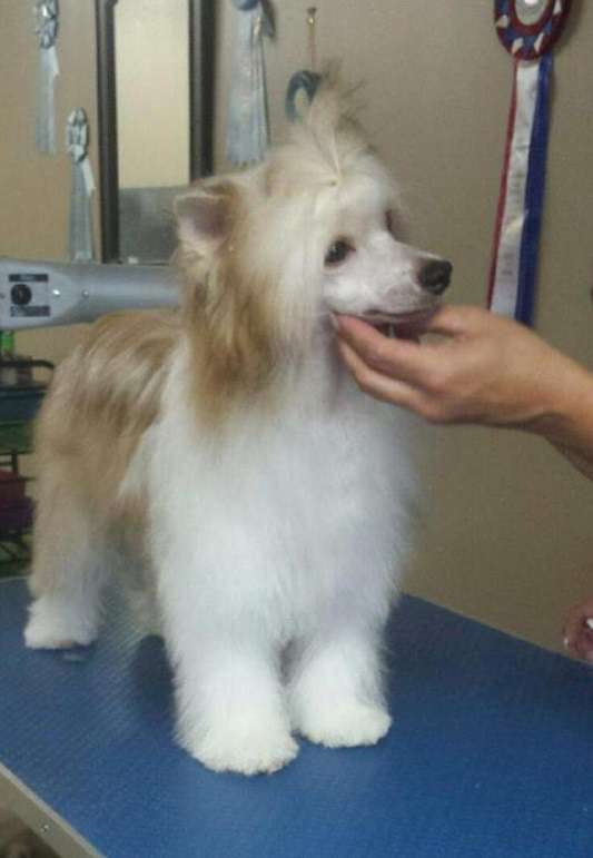 Gardine Break the Fourth Wall