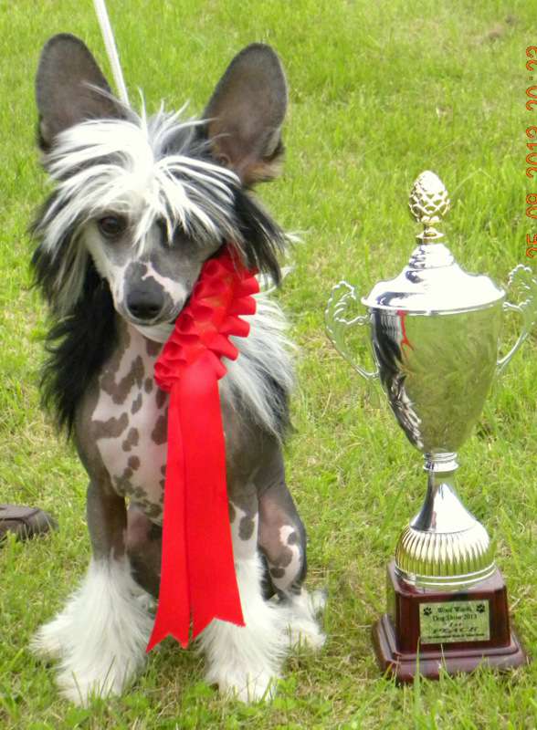 PANDORA Z Lowickiego Ksiestwa