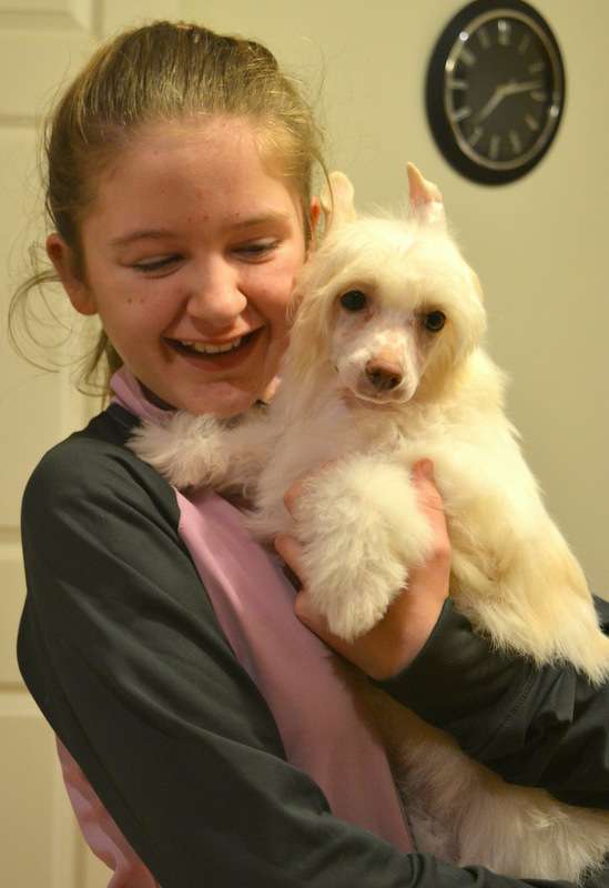 Goldamulet Aleksandriya Gordaya