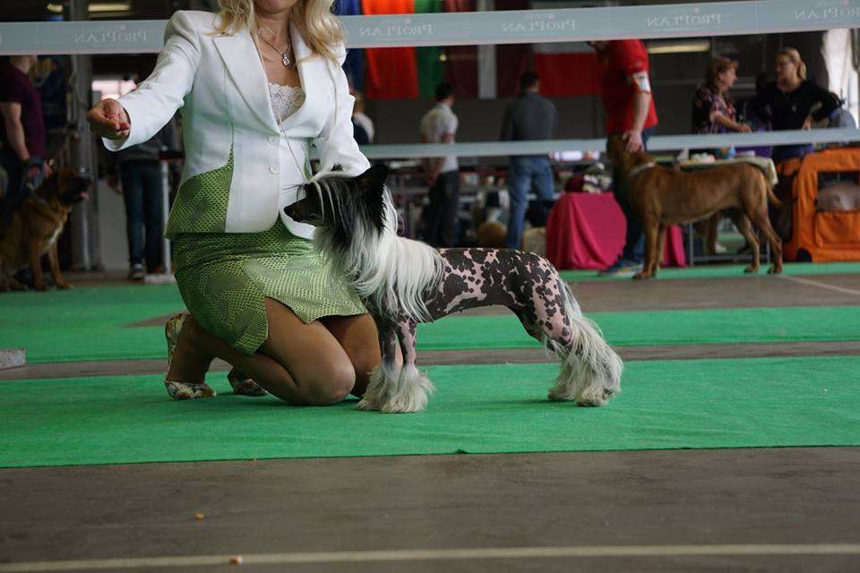 Odelina Planet Of Dream