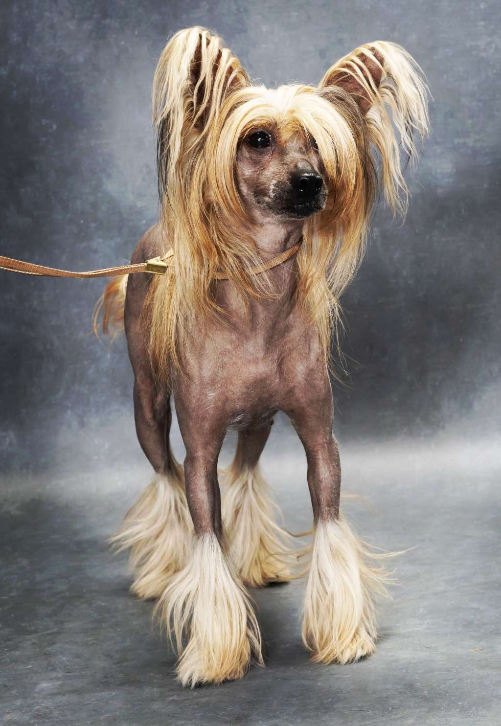 Tosia Just Like Summer