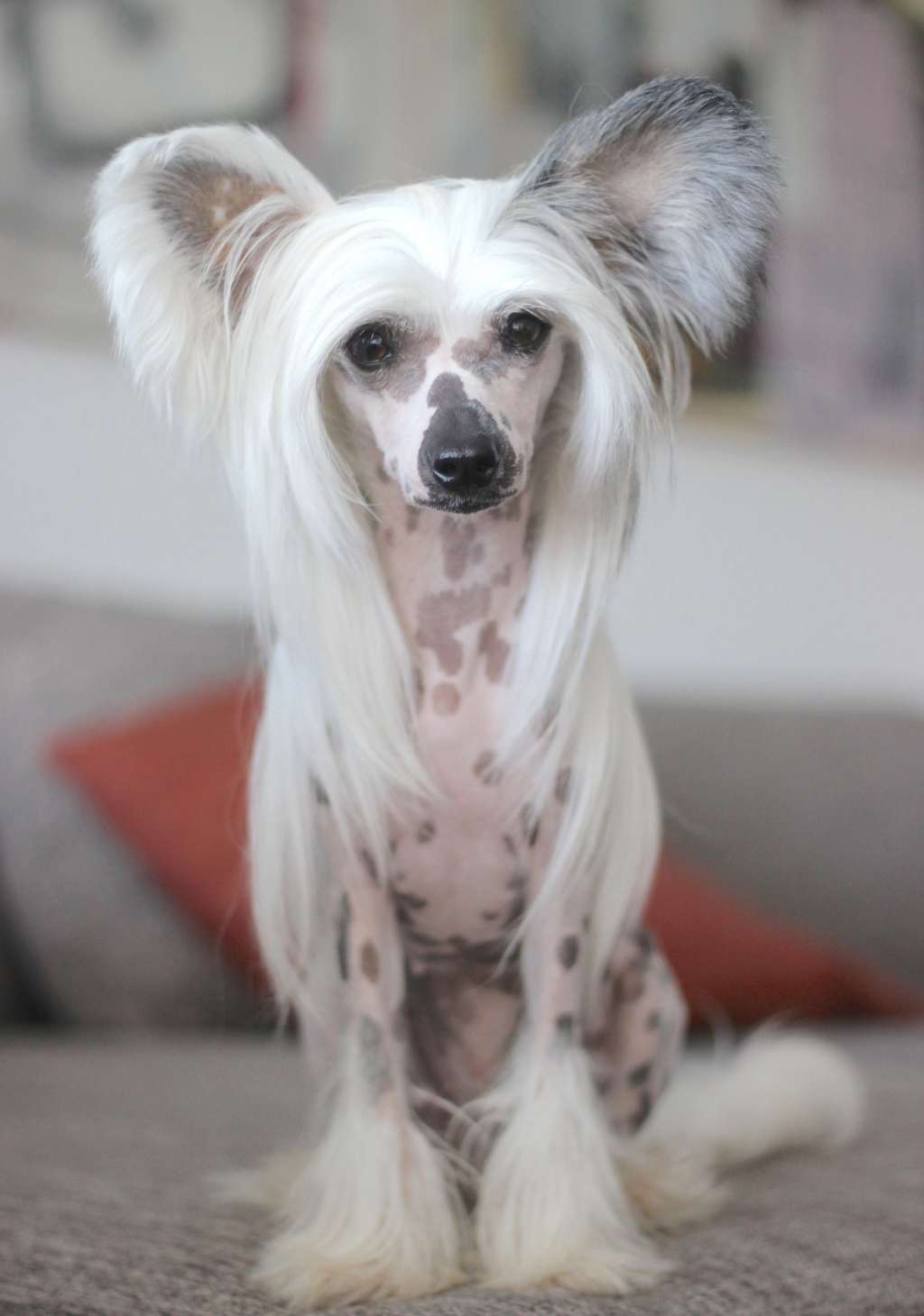 Arte Figure Maneater