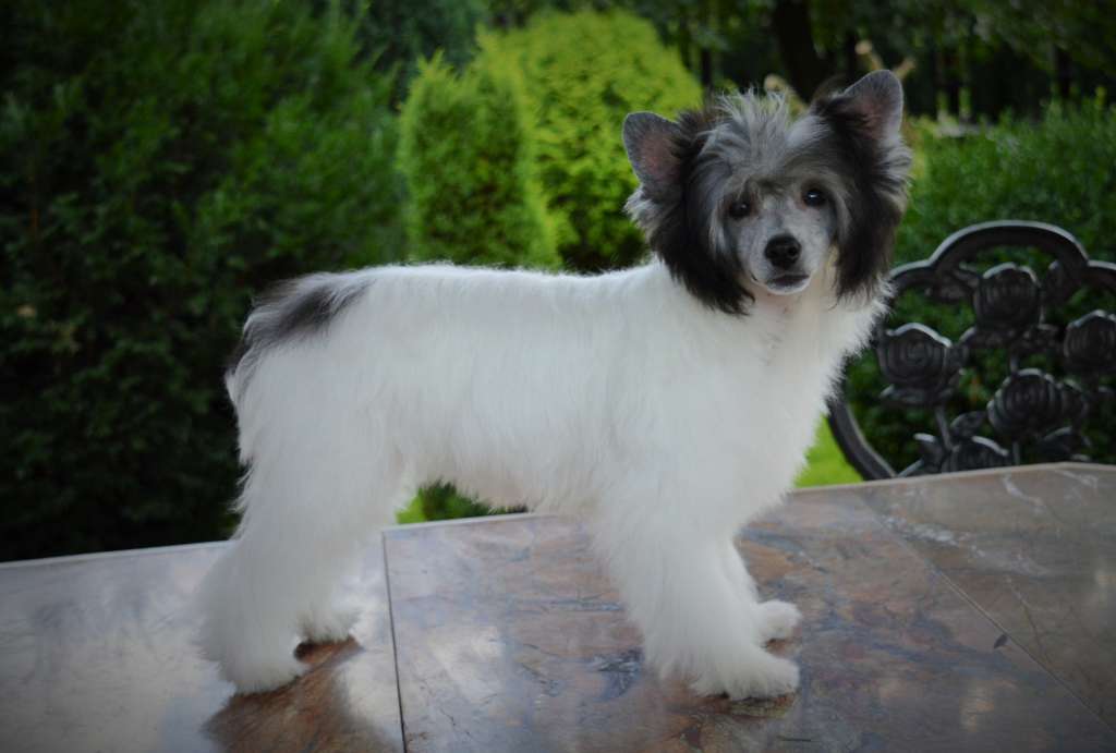 Eros U Stóp Szklanych Gór