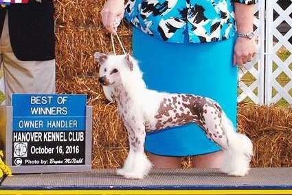 Belews I Don't Know Karate But I Know Ka-razy